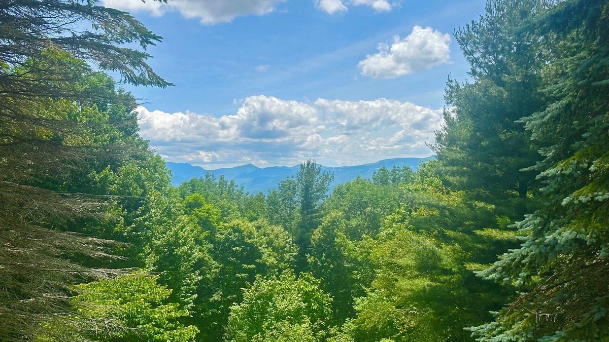 Zionville House | Vivian's View is a majestic mountain paradise!
