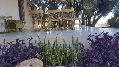 El Beal Cabin | Vivir La Victoria.