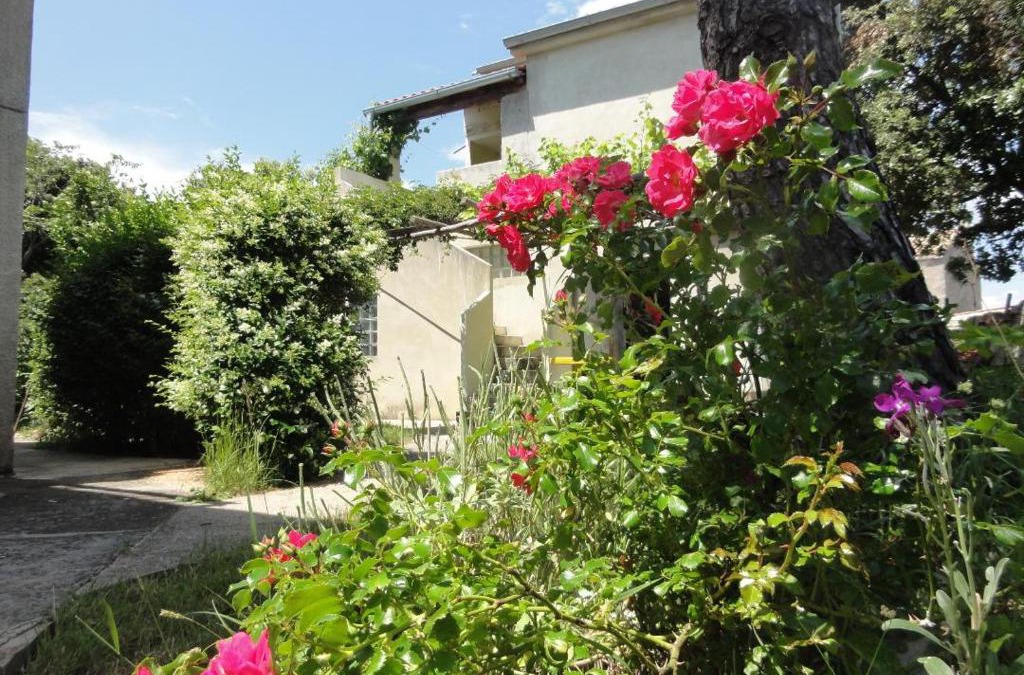 Miholascica Apartment | Vlado