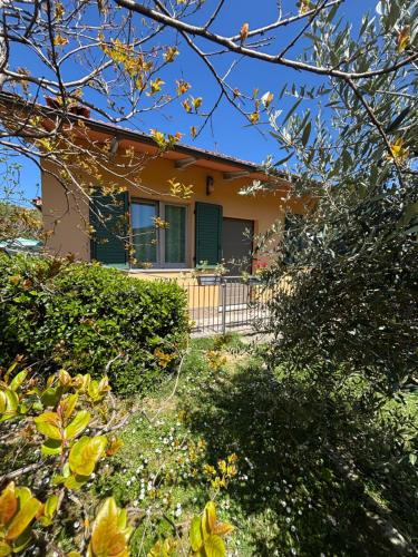 Cetica House | Voce del Casentino