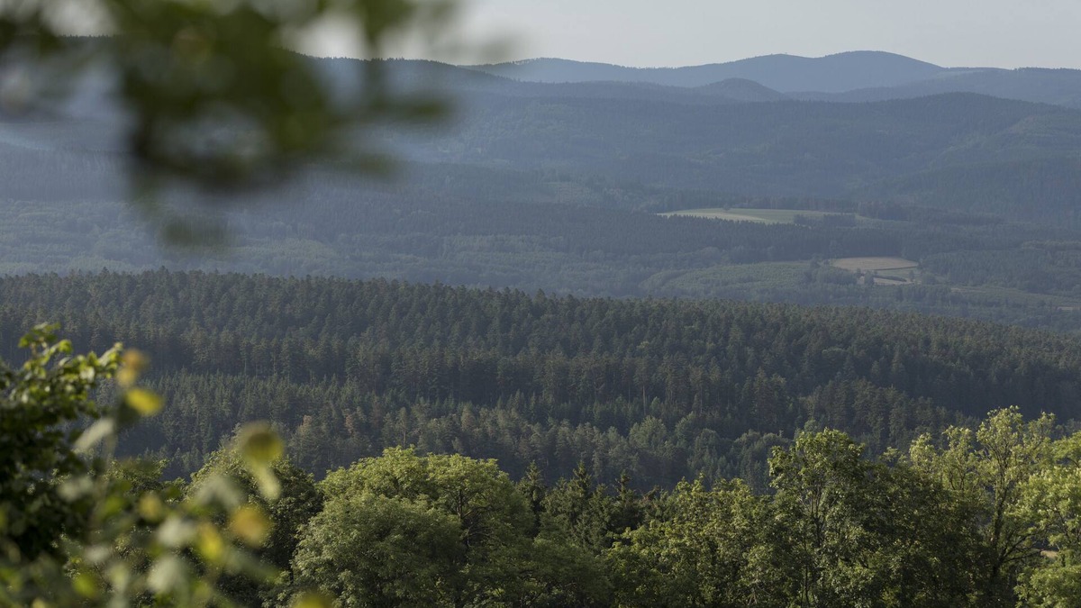 La Grande-Fosse House | Vosges/Alsace :Gîte with panoramic views over valley and mountains in the heart of nature.