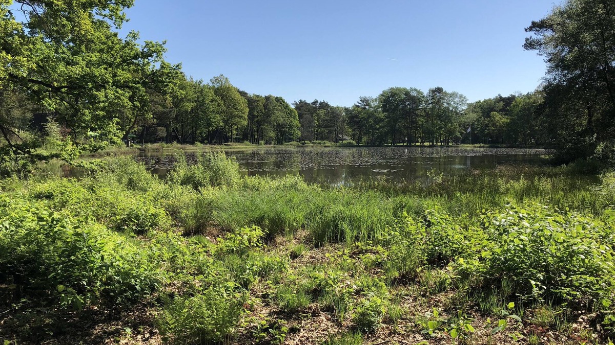 Stramproy House | Vosseven detached bungalow Ven