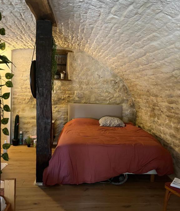 Castelnau-Montratier-Sainte-Alauzie Apartment | Voute des anges type loft sans cloison