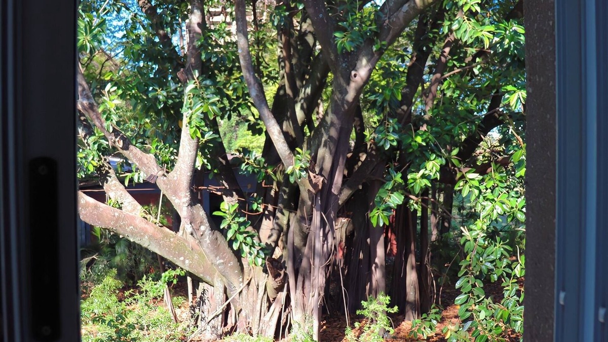 Lencois Paulista Hotel | VR2 Hotel