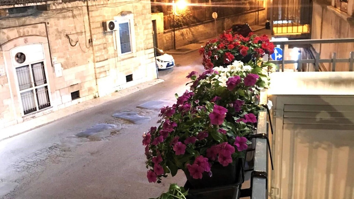 Bisceglie Apartment | Vrbo Property