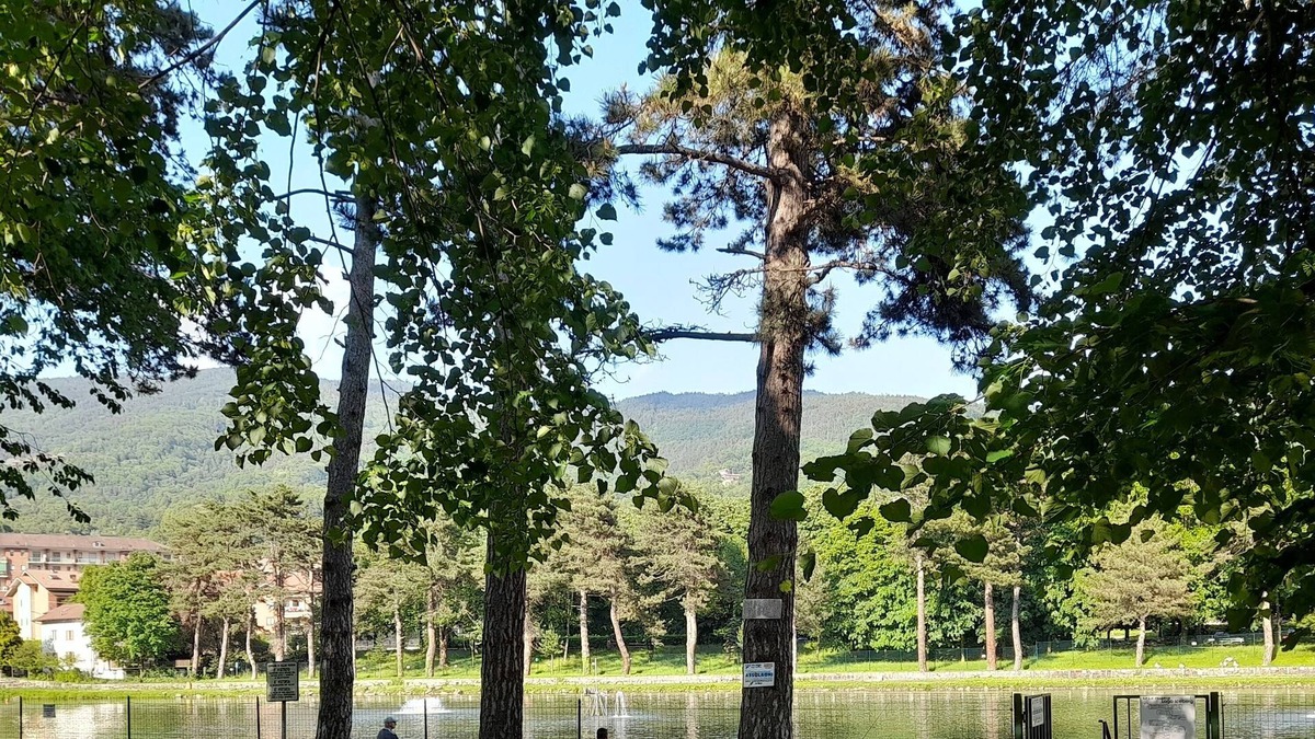 Inverso Pinasca Apartment | Vrbo Property