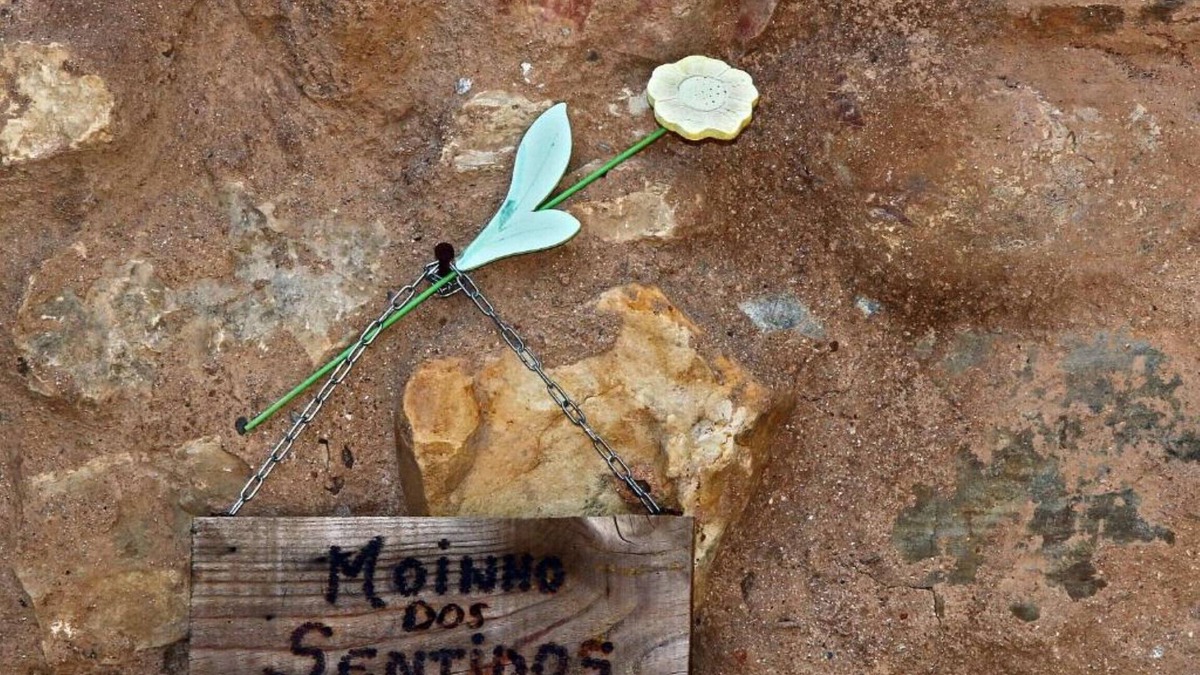 Miranda do Corvo Other | Vrbo Property