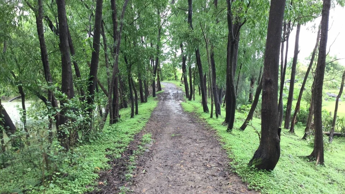 Jawhar Other | Waghoba Tourist village