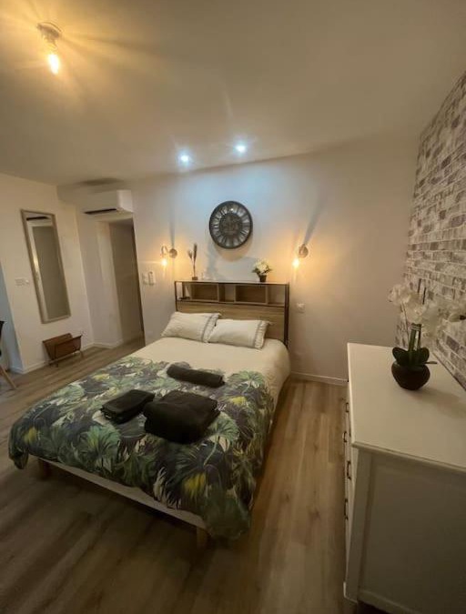 Chasse-sur-Rhone Apartment | WAGNER’studio BALNÉO’terrasse au calme