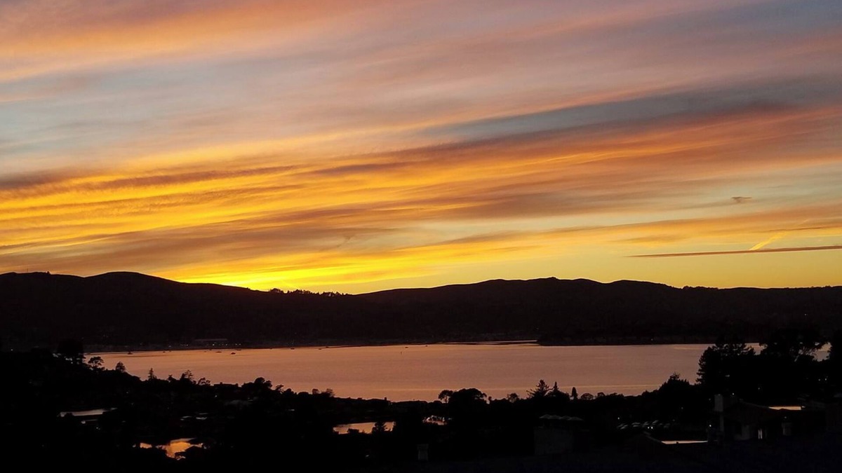 Belvedere Tiburon Apartment | Wake up to breathtaking bay views in Tiburon