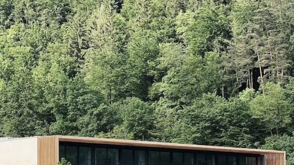 Thal Bed & Breakfast | Waldcafe Thalersee