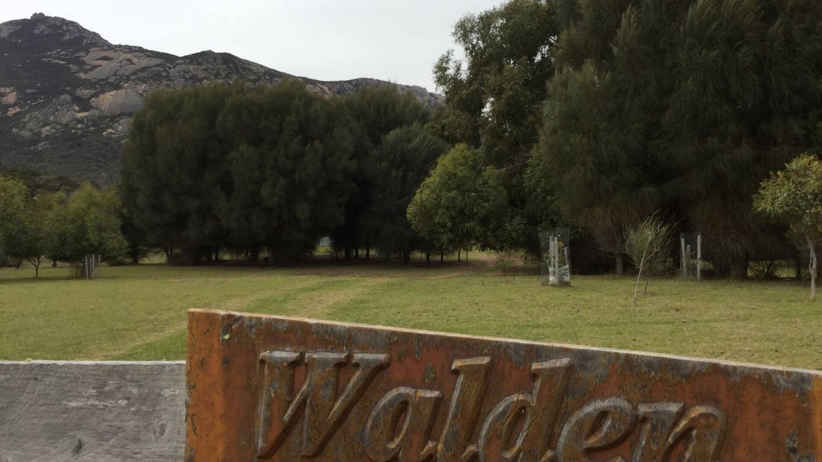 Loccota House | Walden@TrousersPoint