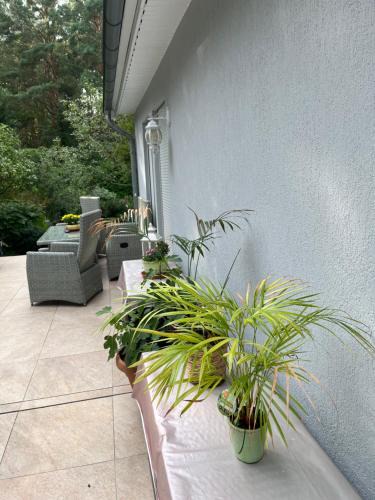 Wandlitz Apartment | Waldtraum Wandlitzsee