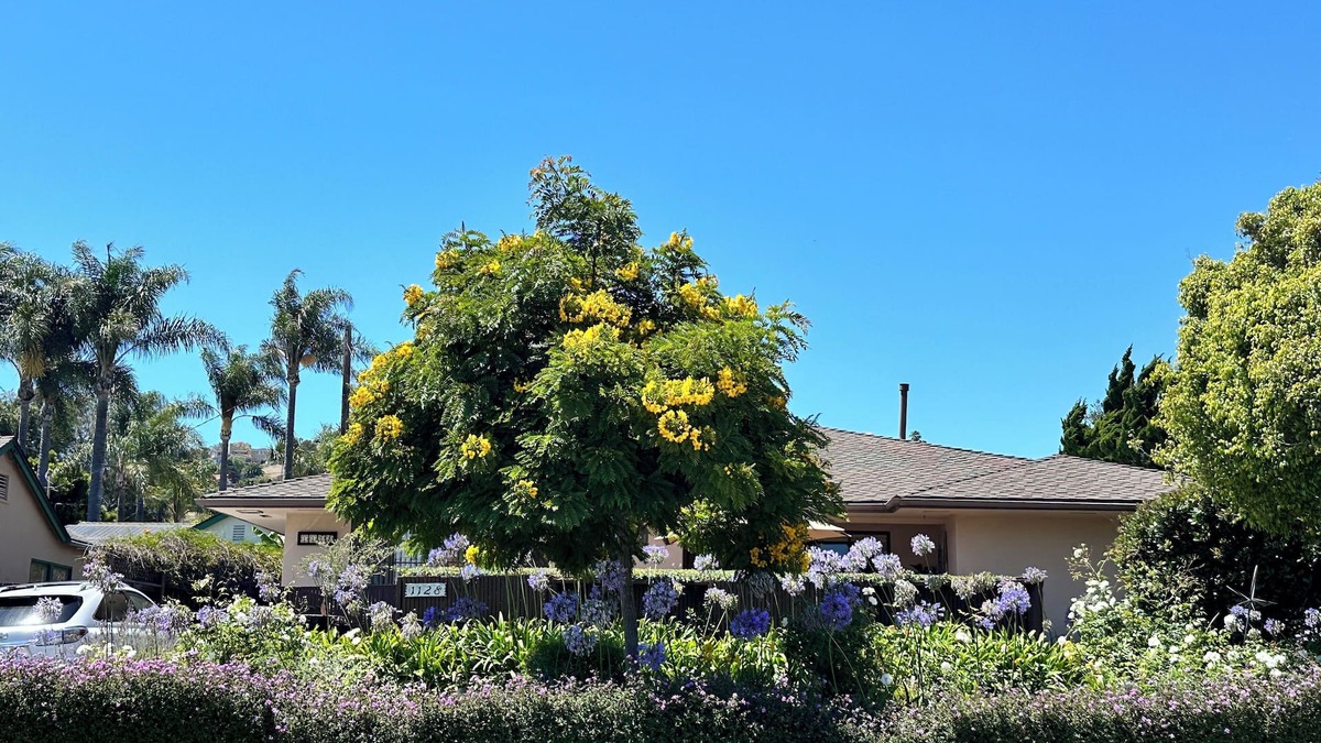 East Mesa House | Walk to Beach, Harbor and Shops! Private Pool/Patio