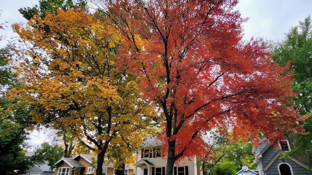 Ames House | Walk to Jack Trice Stadium and ISU! Fire Pit+Yard