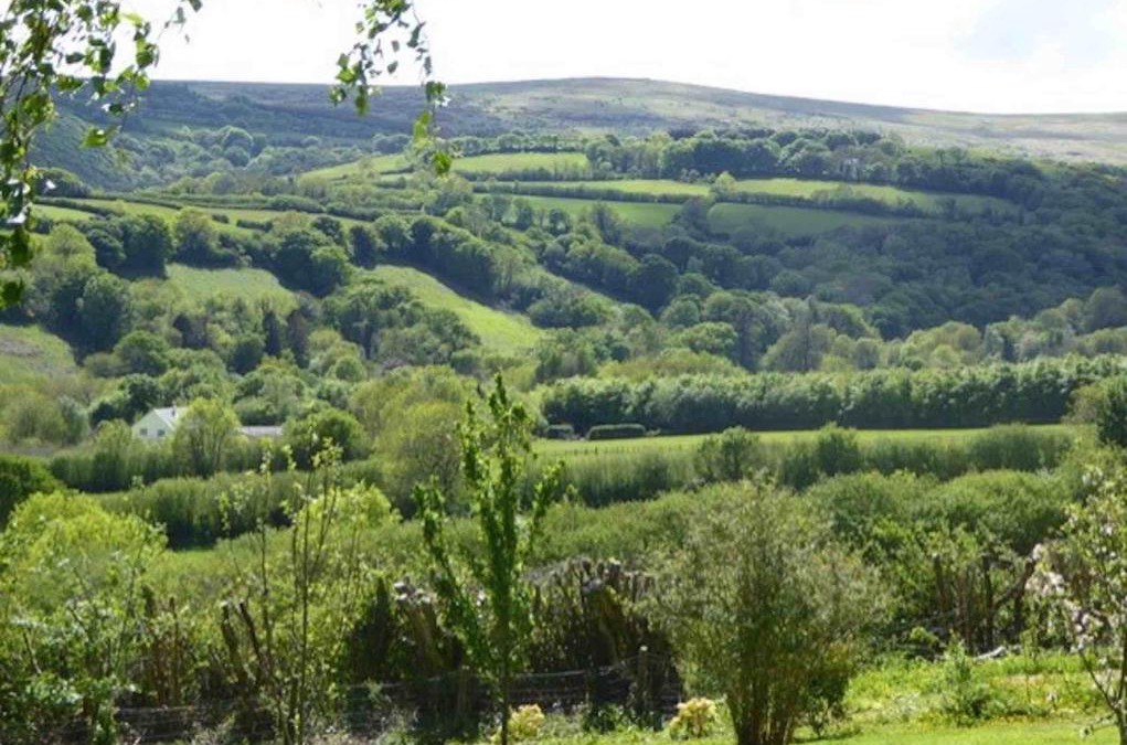 Michelcombe Apartment | Walkers Retreat with garden and views