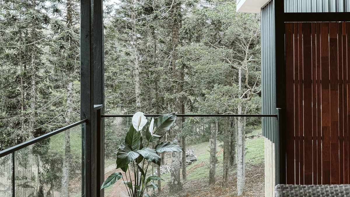 North Maleny Cottage | Wallaby 2 Bed, 1 Bath Cottage - Private Parkland Setting with Lake View