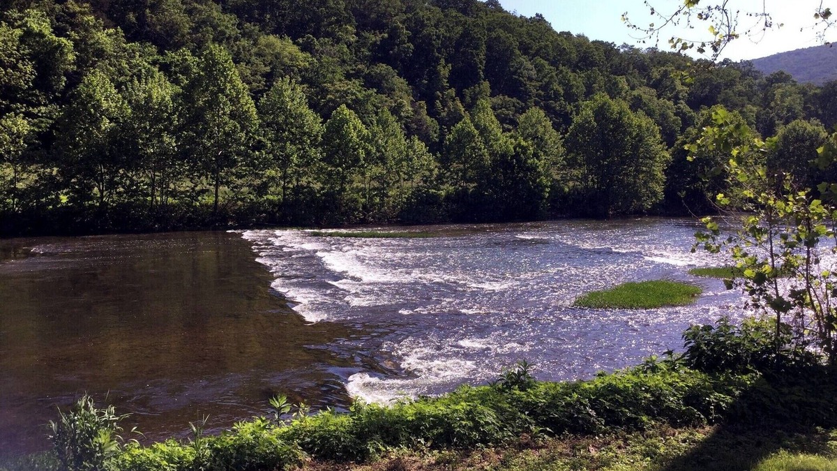 Toms Brook House | Warm Welcoming Retreat in Shenandoah w/1 mile of River, Stunning Mountain View’s