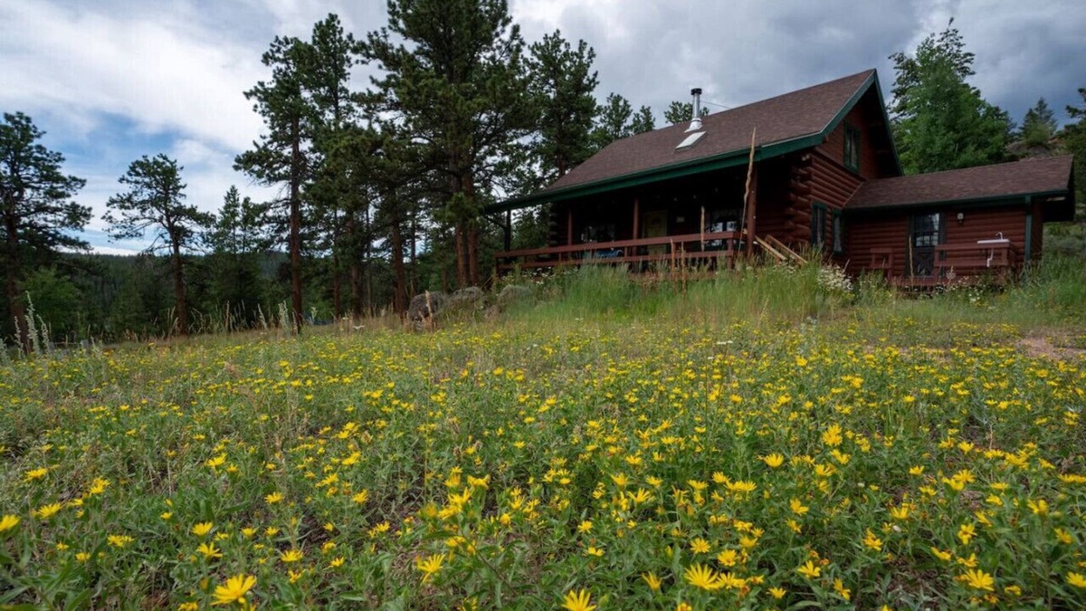 Crystal Lake Cabin | Warm Woodland Getaway with Land