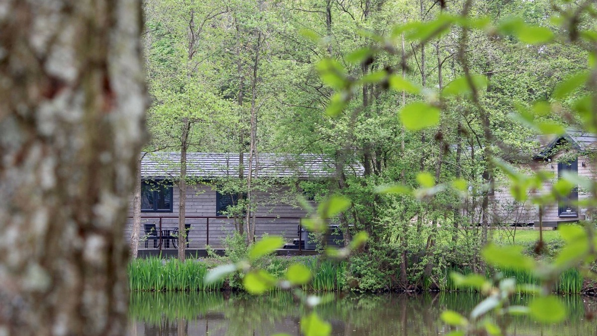 Pevensey Cabin | Warren wood Country Park