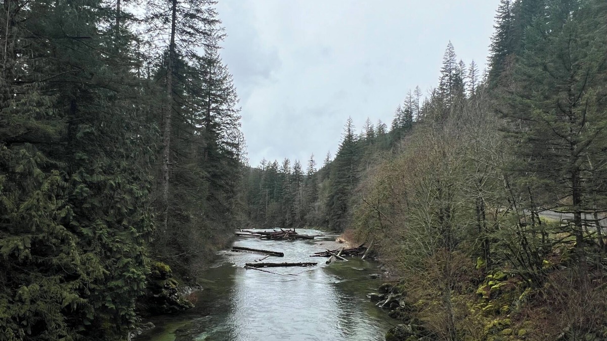 Washougal Apartment | Washougal River Front Apt. Pets OKnClose to Columbia Gorge, close to PDX
