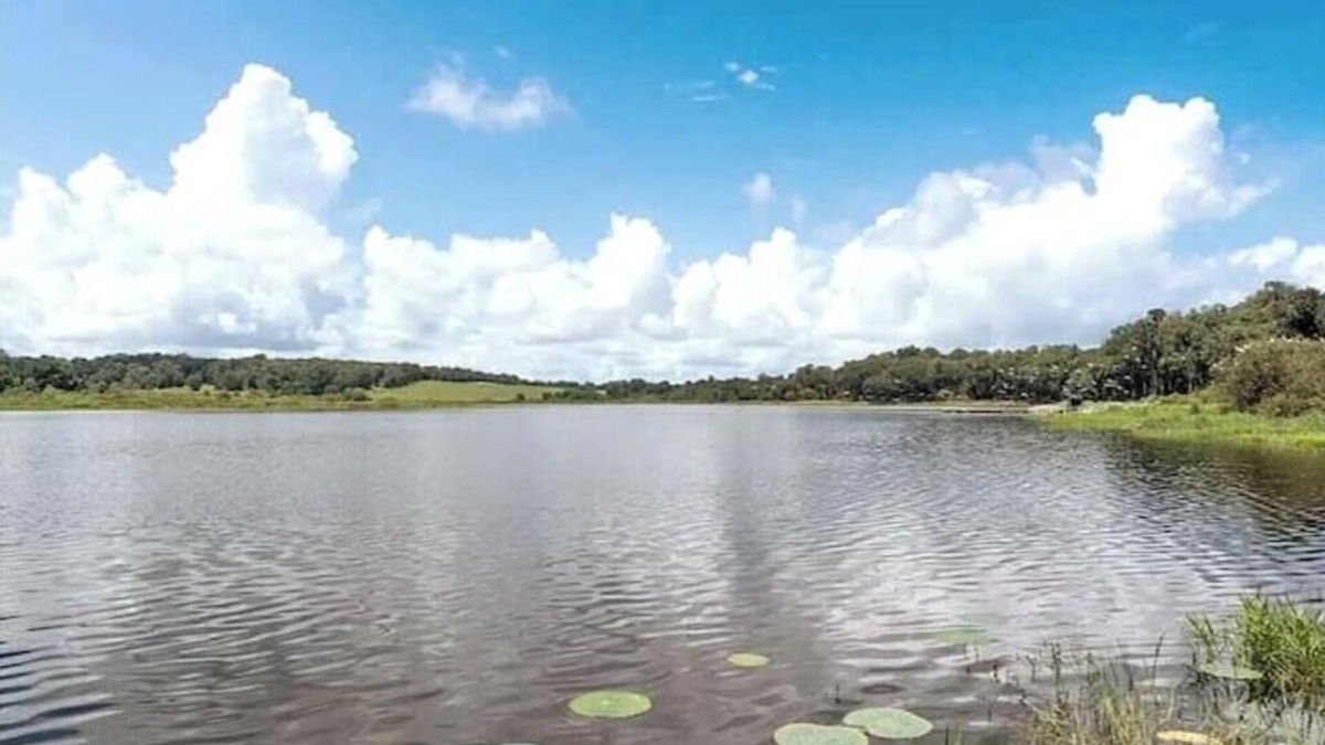 Dade City House | Water's Edge - a lakefront oasis. 10 peaceful, private acres w' stunning views.