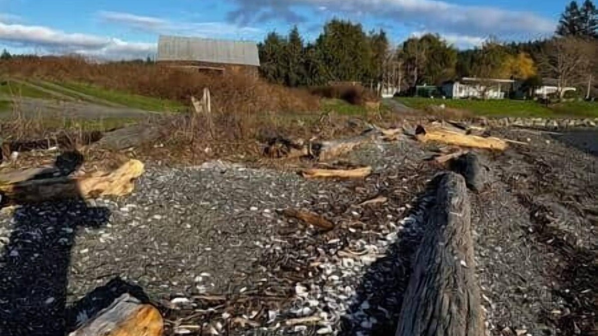 Olga House | WATER VIEWS! WOOD BURNING STOVE! PRIVATE!