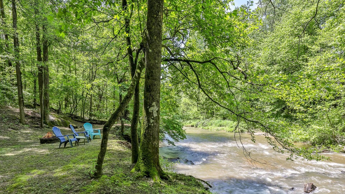 Ellijay Cabin | Water, Wines in the Pines - Creek Front, Dog Friendly