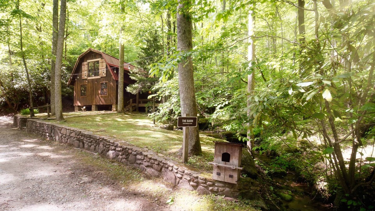 Robbinsville Cabin | Waterfront Cabin with private hiking trails, fire pit, wifi, park-like views