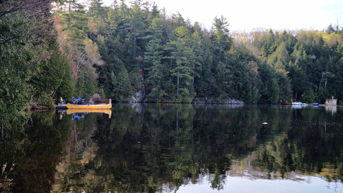 Seguin Cottage | Waterfront Cottage near Muskoka - Superior 3 bedroom Cottage with Private Dock