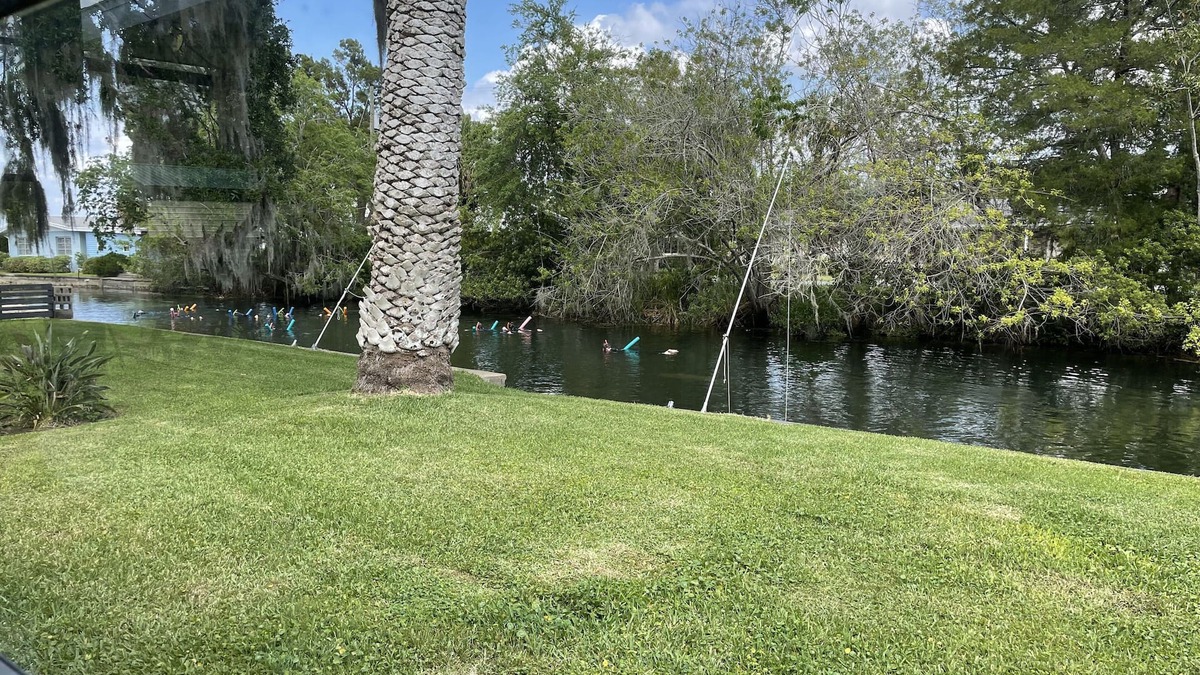 Crystal River House | Waterfront freshwater paradise! Swim with manatees in our backyard!