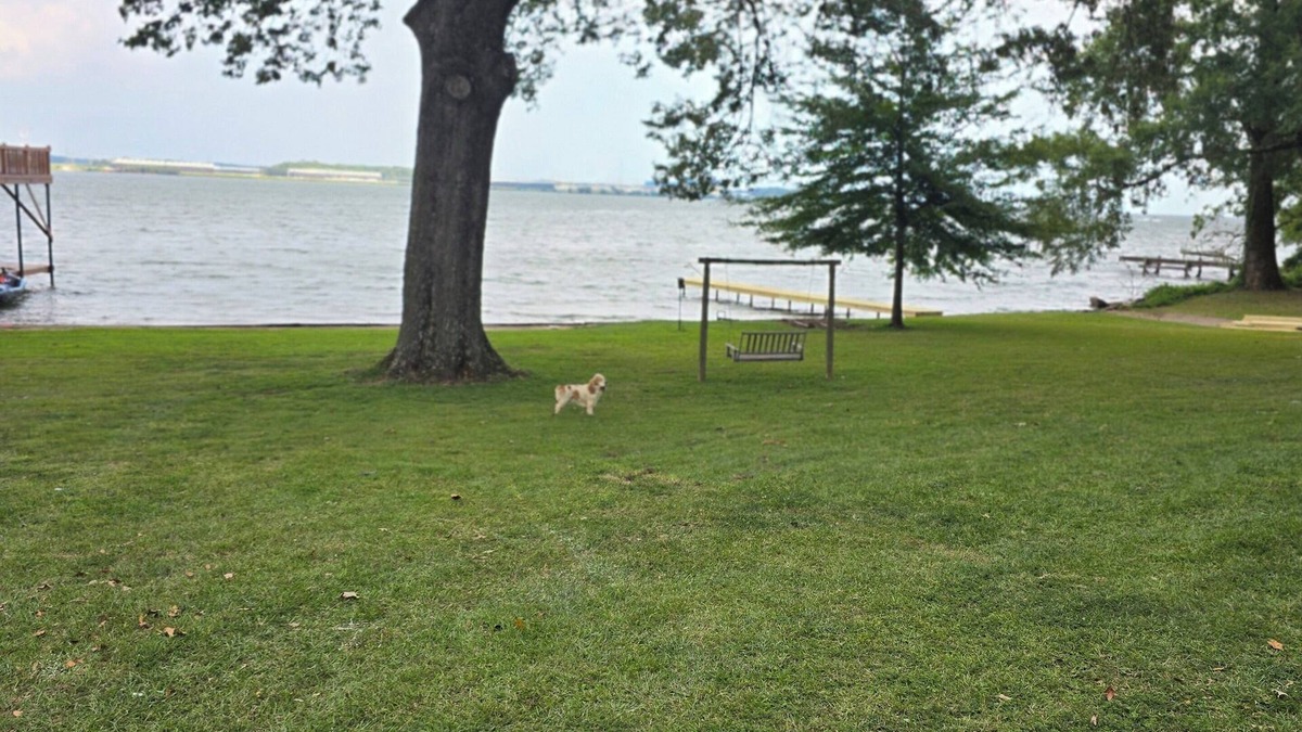 Hillsboro House | “Waterfront Getaway on Wheeler Lake – Private Dock & Boat Ramp”