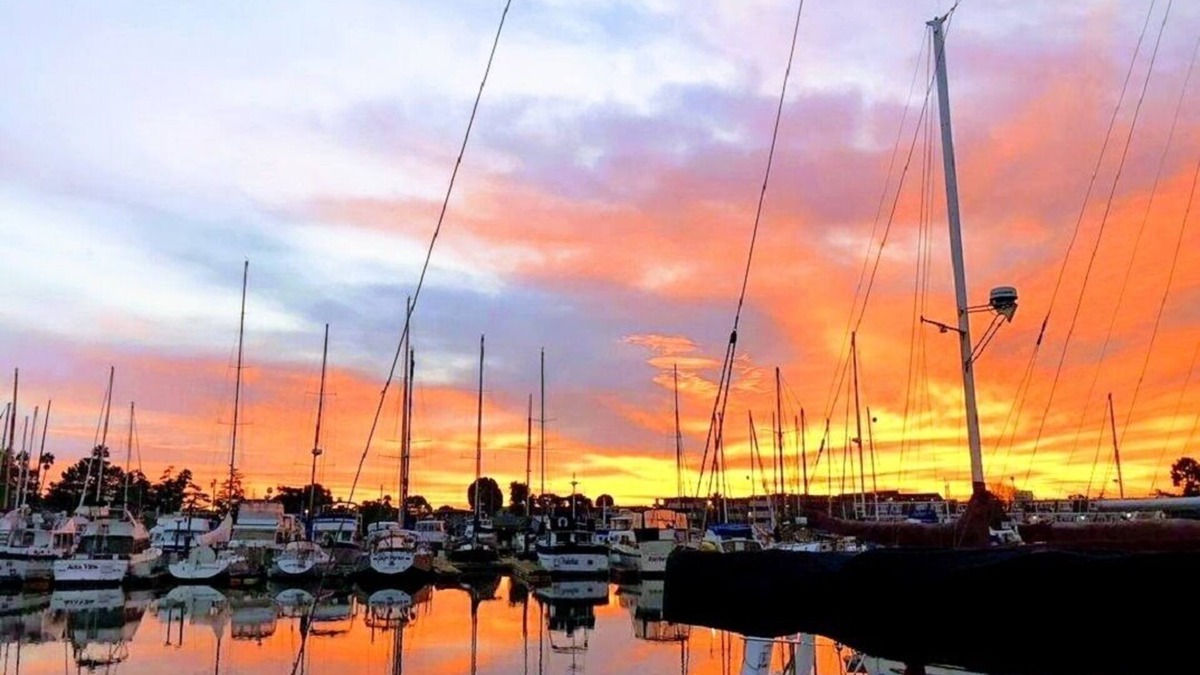 San Rafael House | Waterfront home, beautiful, spacious, clean, pet friendly. Near SF, Napa