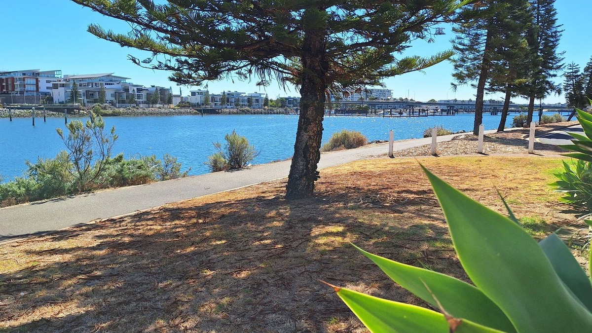 New Port Apartment | Waterfront Property with lovely views. Wake up to the dolphins and Swimming