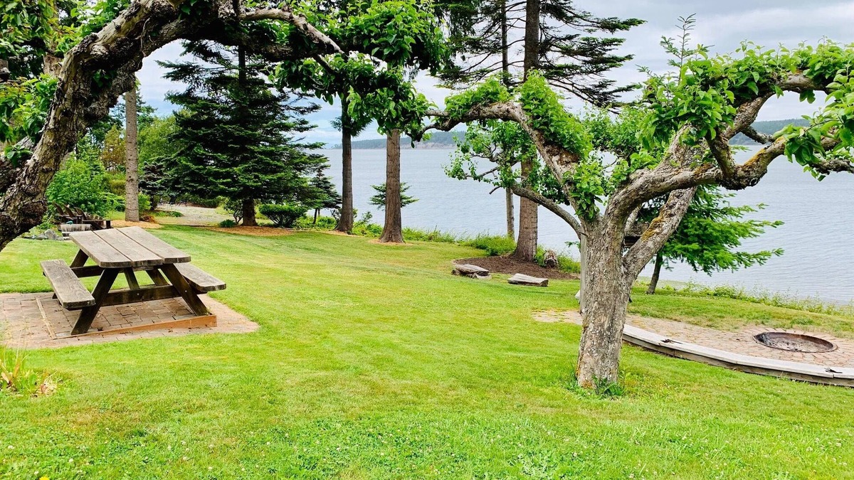 Sequim Apartment | Waterfront Property close to Discovery bike trail