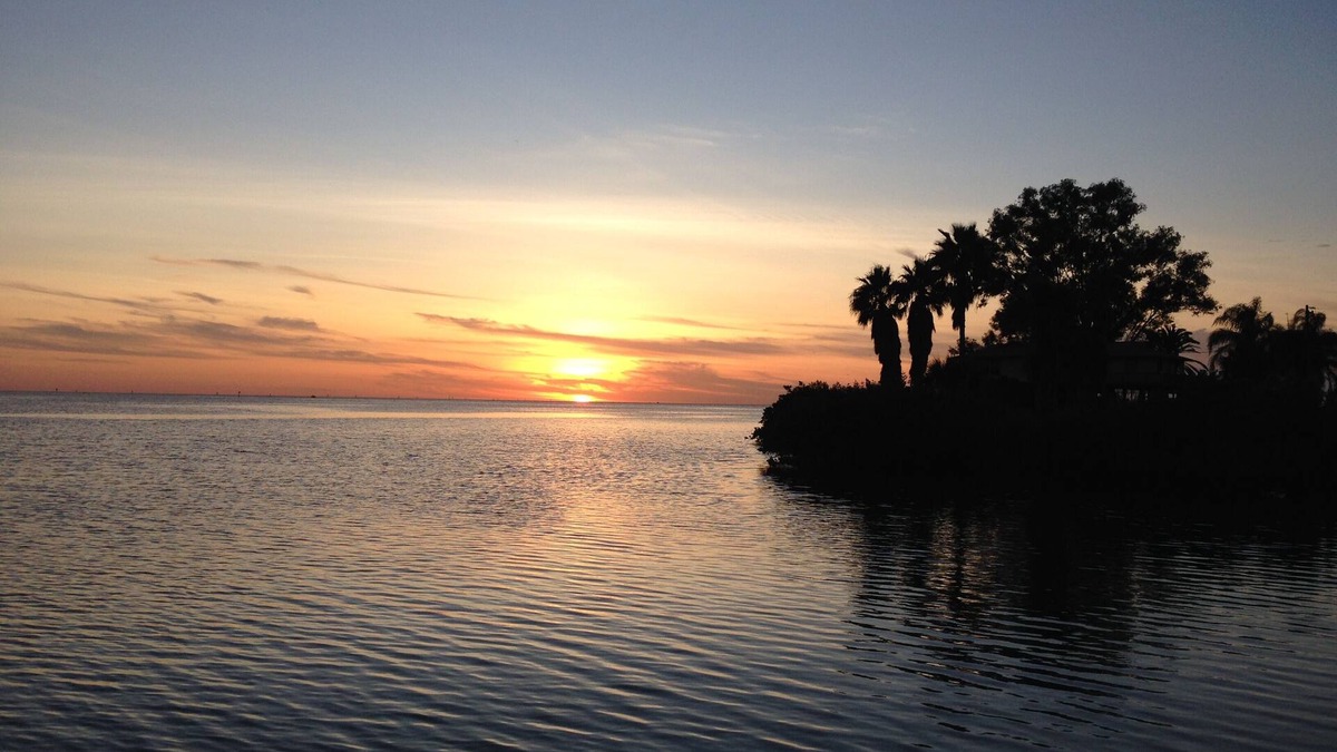Driftwood Isles House | Waterfront Tropical Paradise With A Spectacular Gulf View & Pet Friendly!