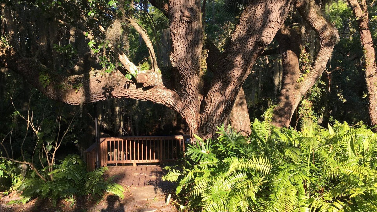 Warm Mineral Springs House | Waterfront Villa Manatee on Warm Mineral Springs *Pool *Deck
