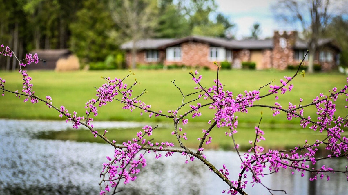Ava House | We are a quiet ranch home that sits on 8 acres with firepit, pond and bar.