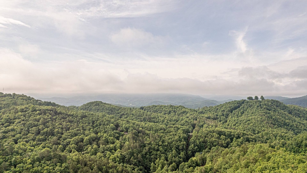 Bryson City Cabin | Weddings, Retreats, Large Groups: 3LittleBearsRetreat