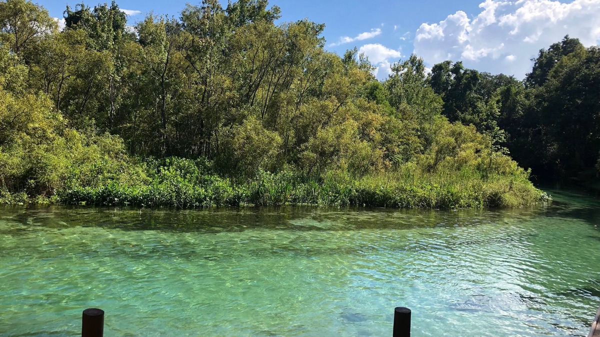 Spring Hill House | Weeki Wachee MAIN RIVER