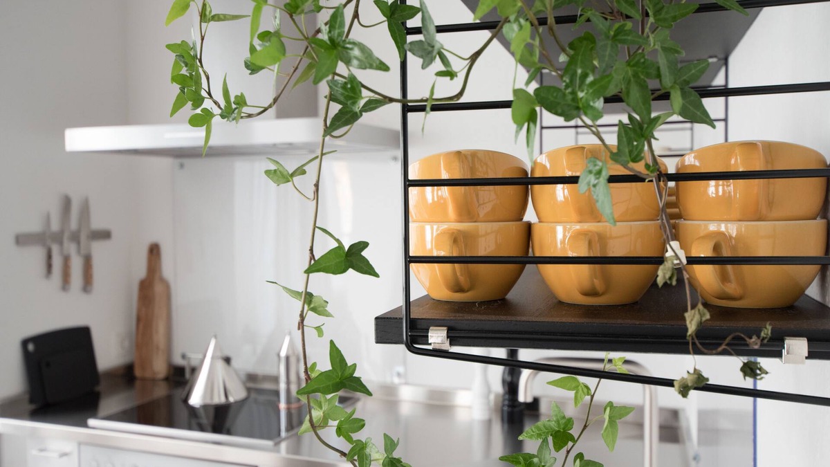 Weimar Hotel | Weimar Central Artist Loft