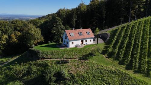 Gamlitz House | Weingartenhaus Eckberg41