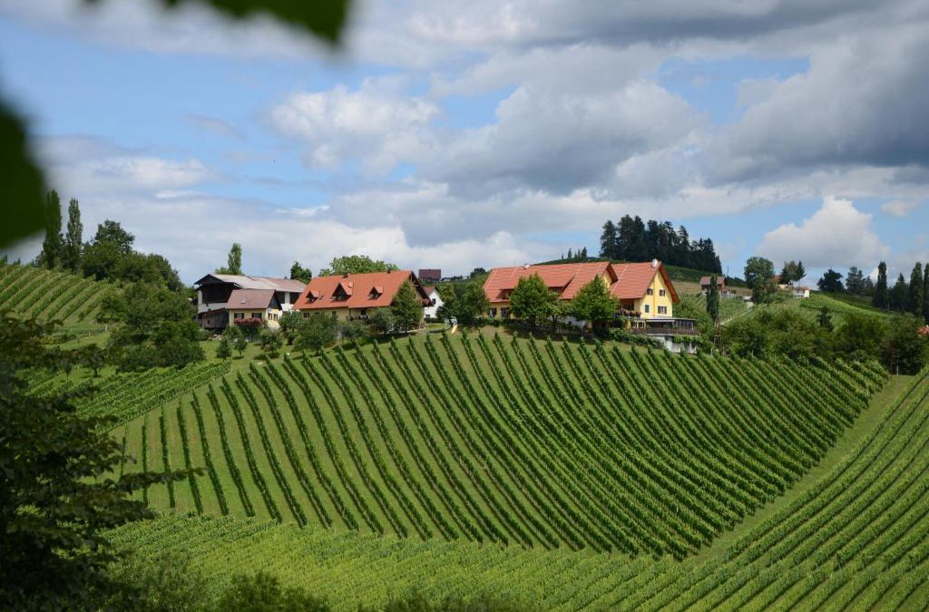 Glanz an der Weinstrasse Bed & Breakfast | Weingut Fellner