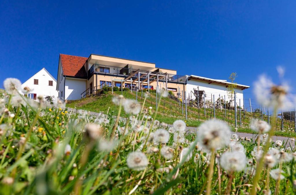 Ehrenhausen an der Weinstraße Bed & Breakfast | Weingut und Gästezimmer Perner