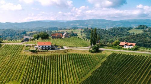 Ratsch Apartment | Weinstraßenapartment Fam. Dietrich