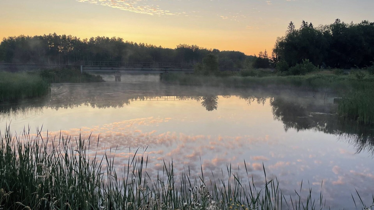 Ray Cabin | Welcome Friends and Family 2 Monthly Rental