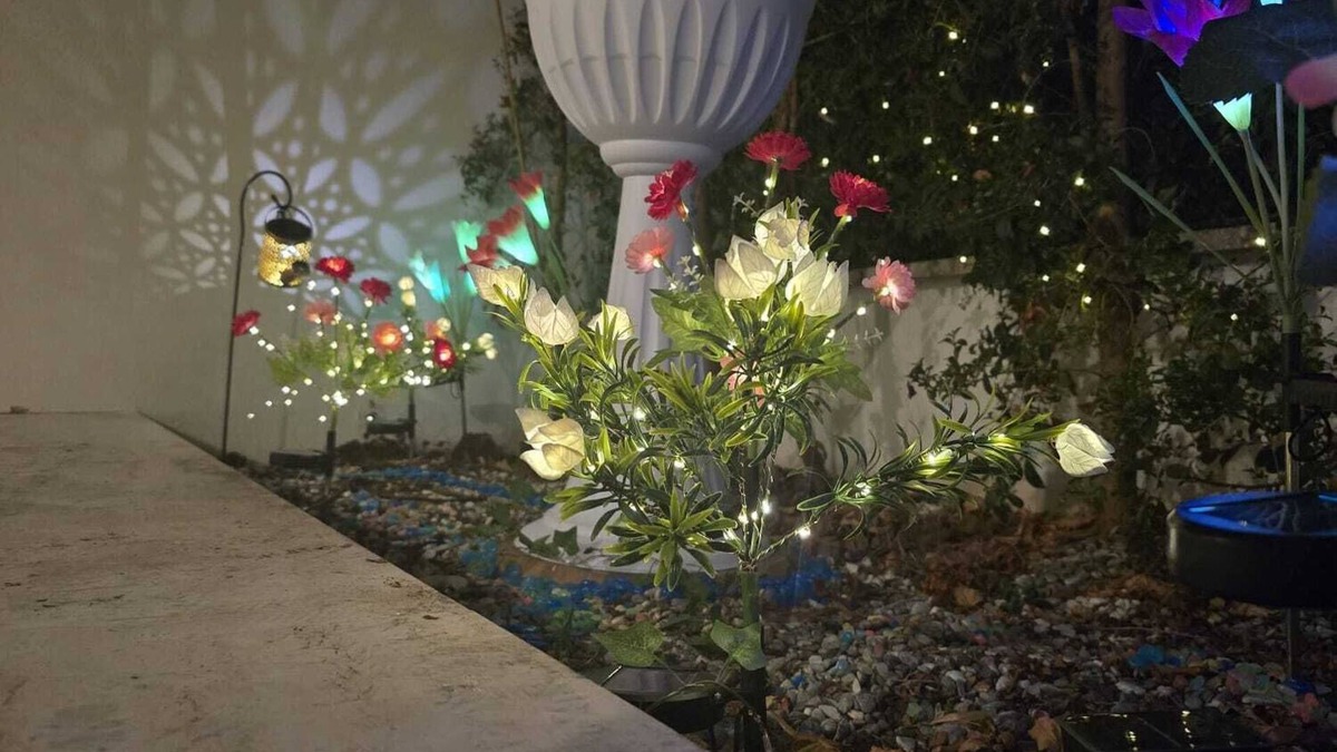 Zona XXXIV Casal Palocco Apartment | WELCOME LOVE ROME - apartment surrounded by greenery