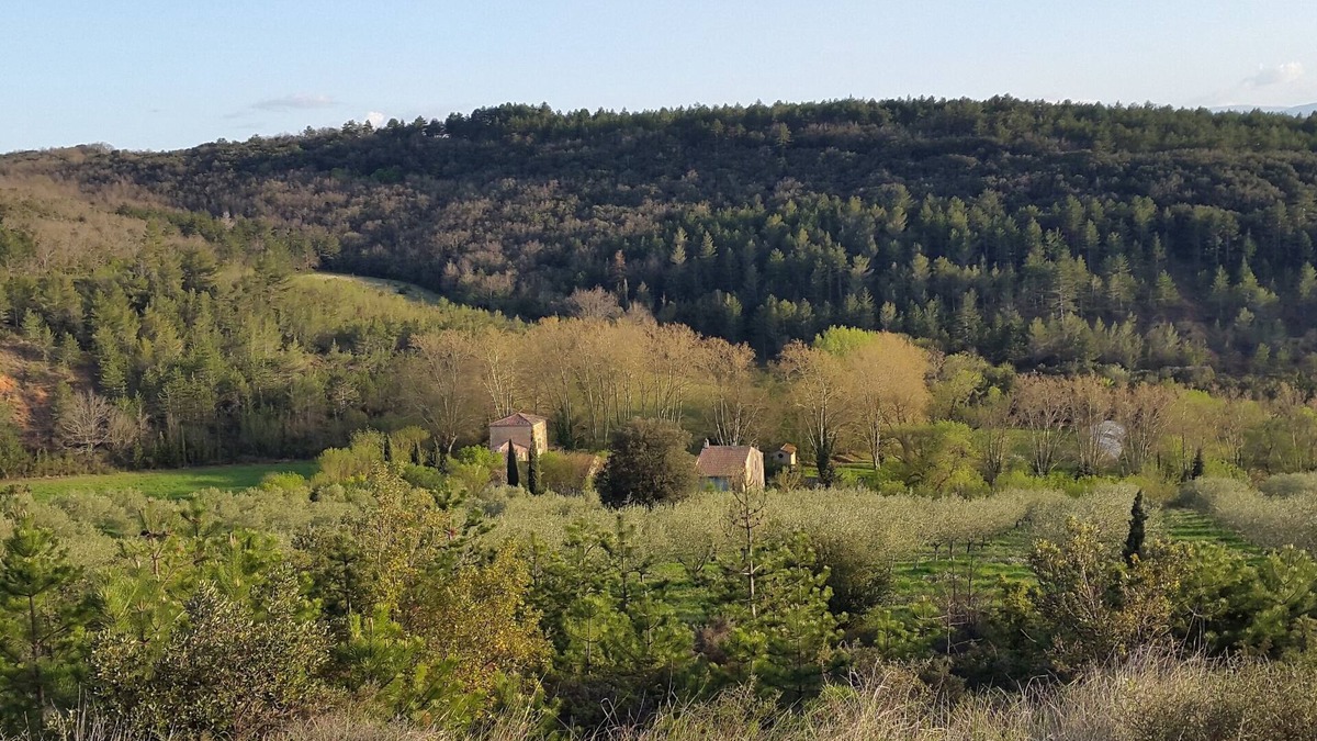 Luc-sur-Aude Cottage | Welcome to Domaine de Castillou
