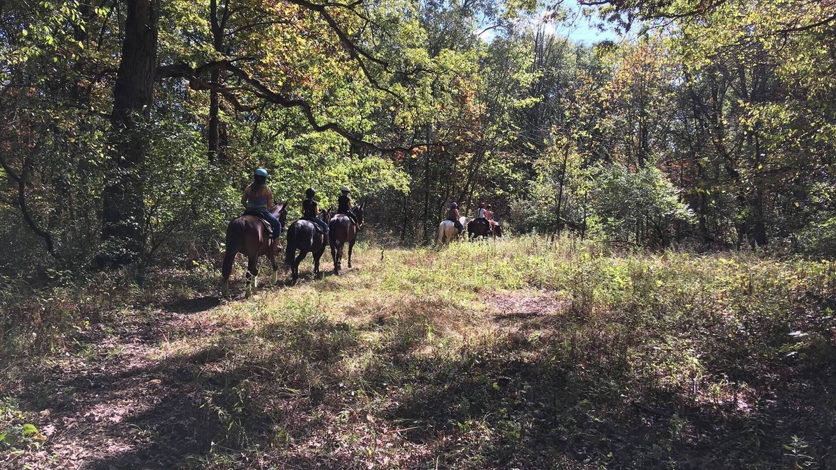 Marseilles RV Rental | Welcome to our magical woods! Relax, unwind a world away but close to home.