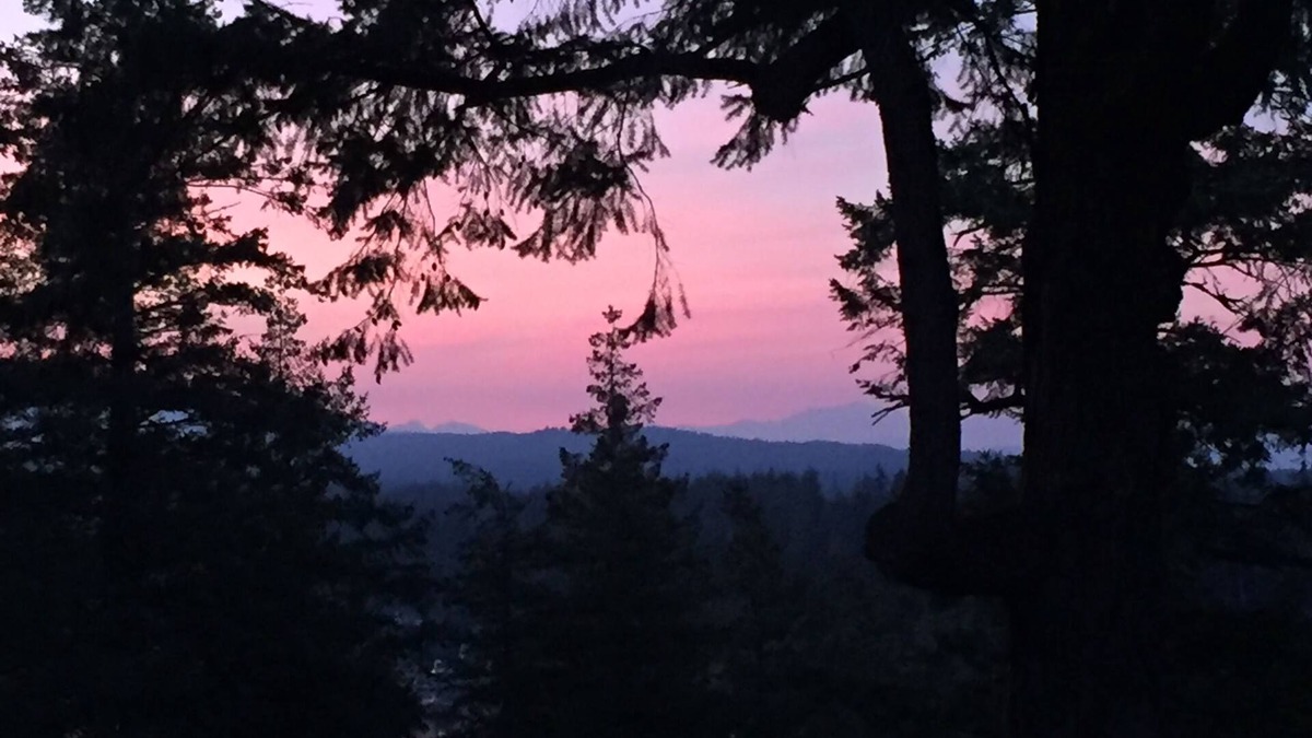 Quathiaski Cove House | Welcome to Raven's Bluff Guest House.a bird's eye view.